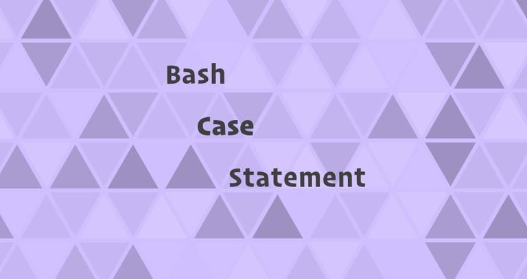Bash Case Statement