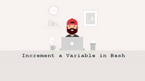 How to Increment and Decrement a Variable in Bash: Counter Examples ...