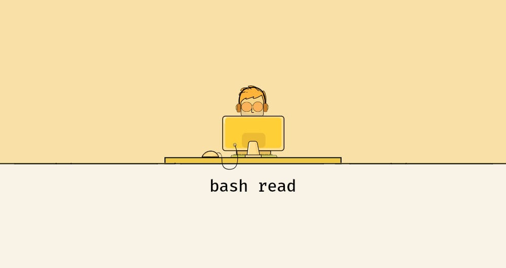 Bash read