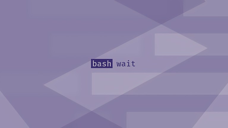 Bash wait Command