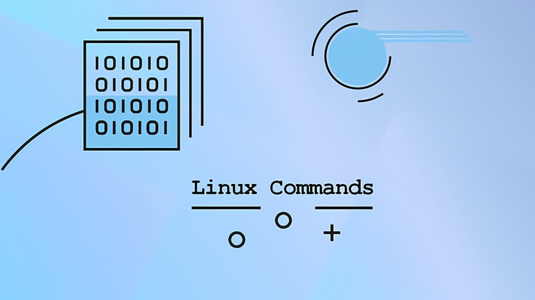 Essential Linux Commands