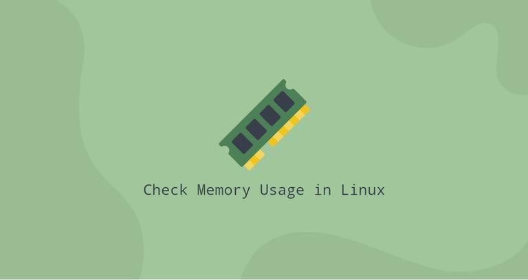 Check Memory Usage in Linux
