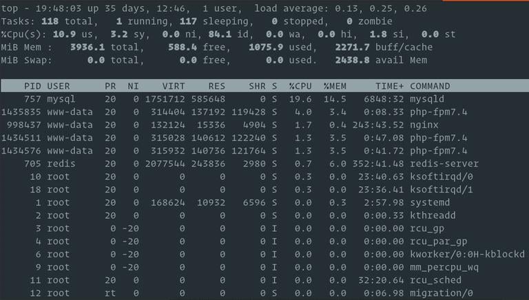 linux check process memory usage