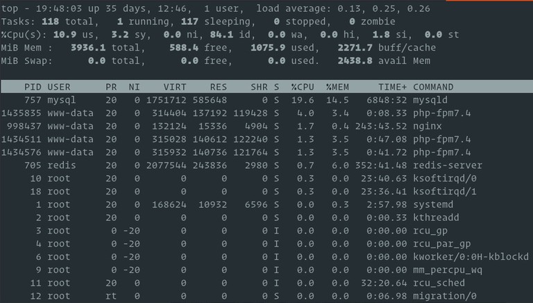 check memory usage with top
