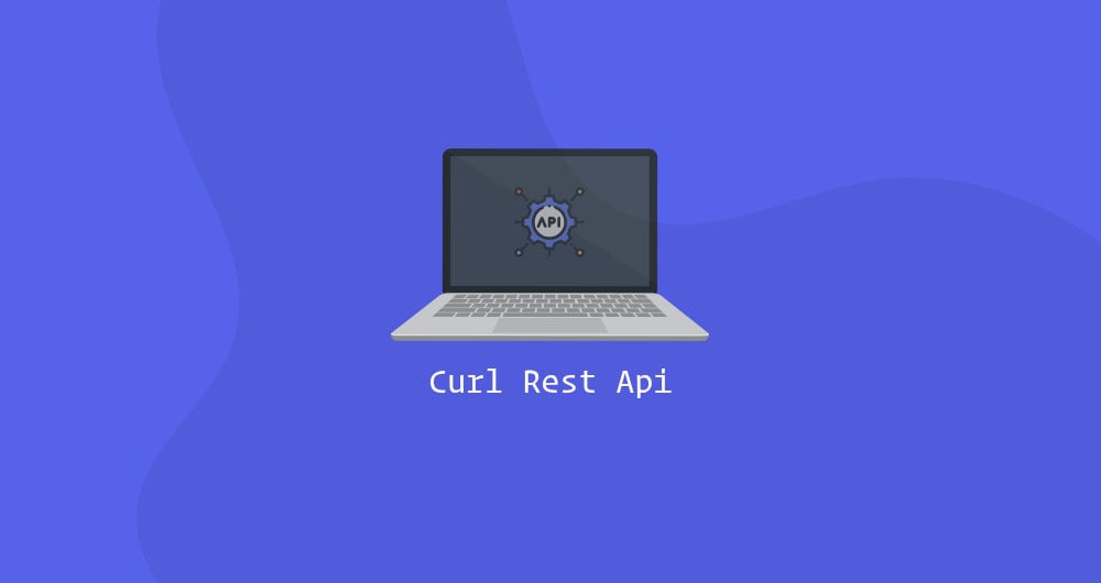 Curl API. Make a rest