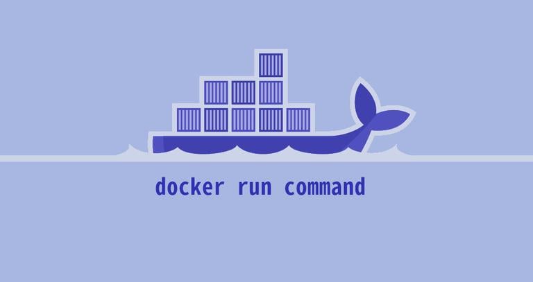 Docker Container Run Command
