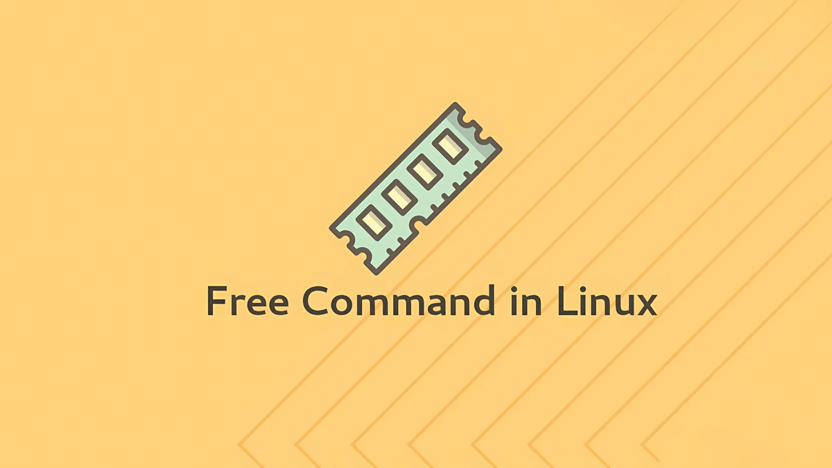 Free Command in Linux | Linuxize