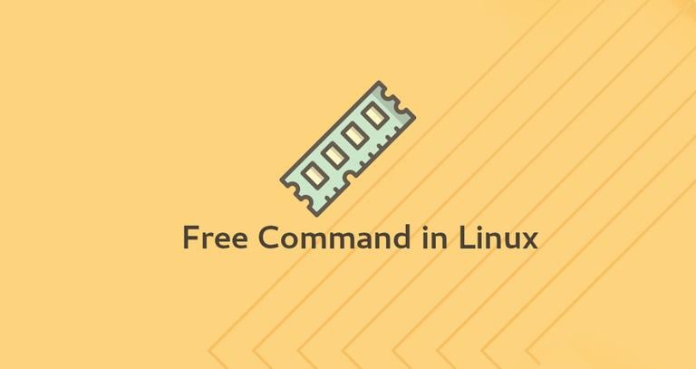 Volverse loco obtener charla Free Command in Linux | Linuxize