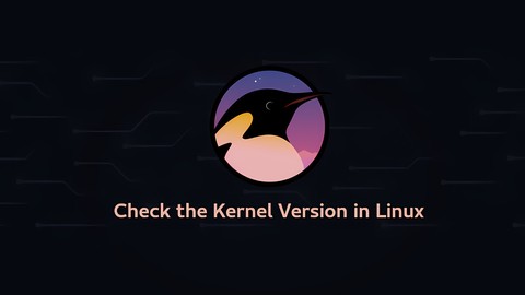 How to Check the Kernel Version in Linux | Linuxize