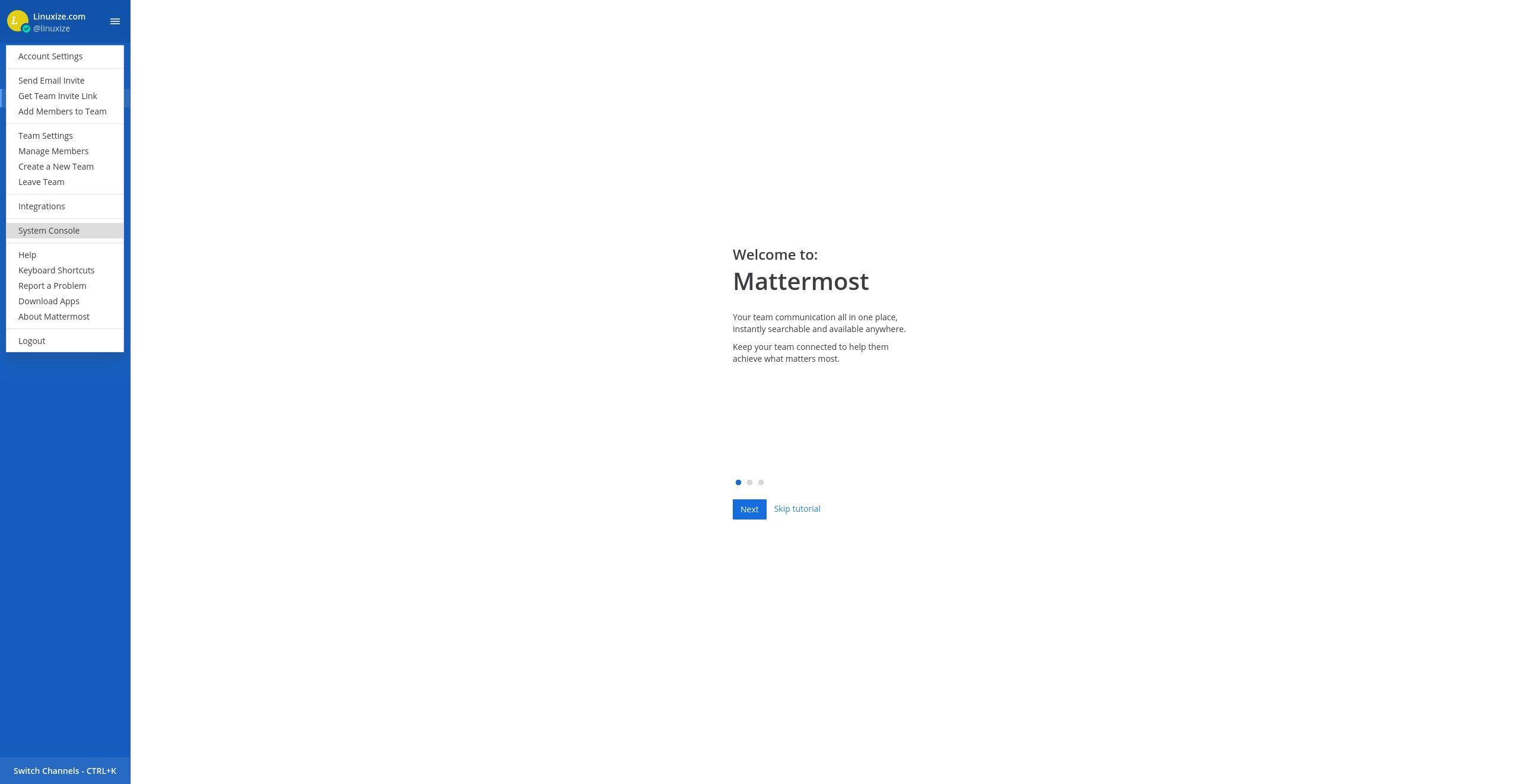 mattermost server url