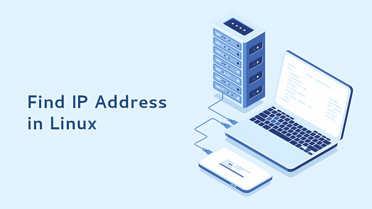 Find IP address in Linux