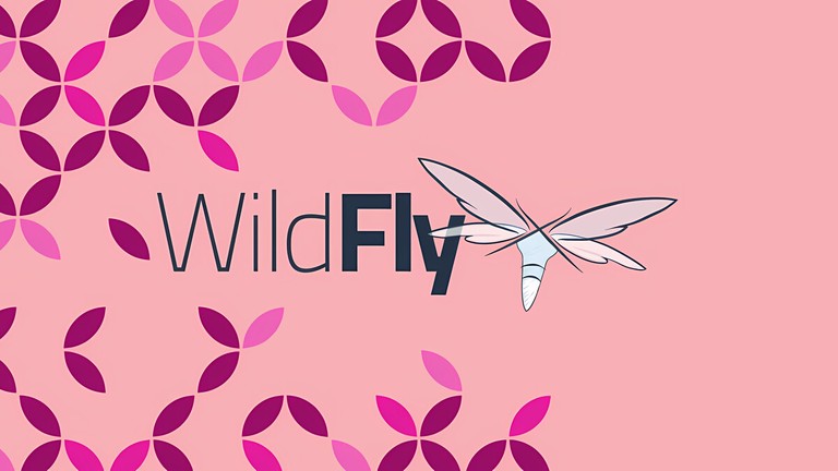 Install wildfly (JBoss) on Debian 9
