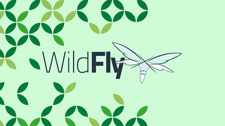 Install wildfly (JBoss) on Ubuntu 18.04
