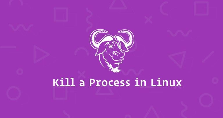 Kill a Process in Linux