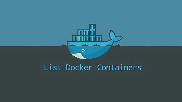 Terminal output showing running Docker containers with docker container ls