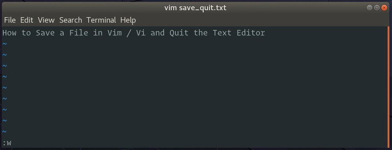Vim Save File