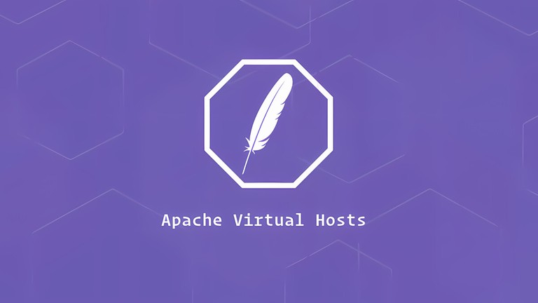 Set Up Apache Virtual Hosts on Ubuntu 20.04