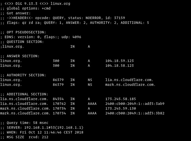 dig command output