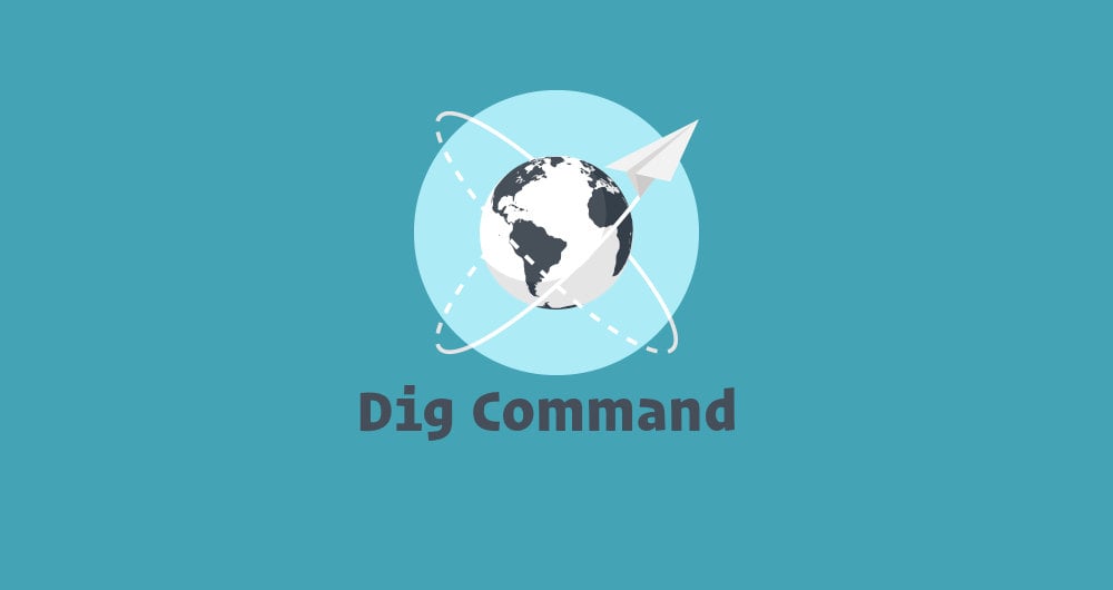 Raycast Store: Dig - DNS Lookup