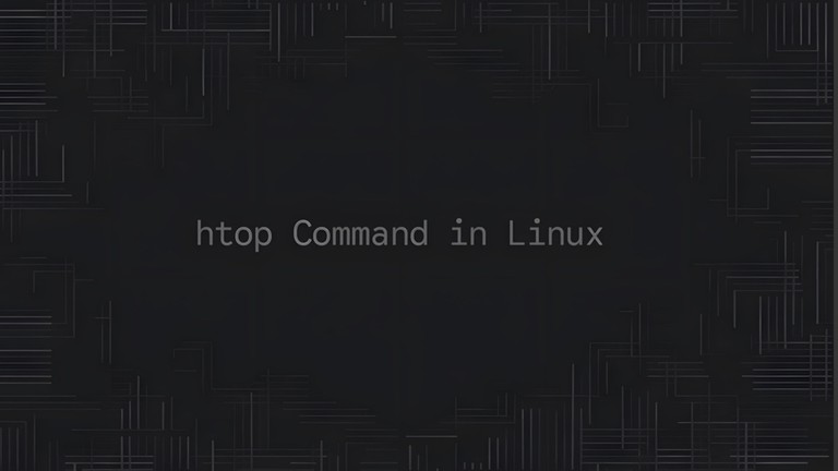 Using the htop command to monitor processes interactively in Linux