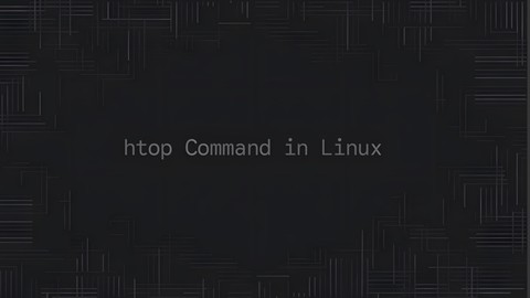 htop Command in Linux: Monitor Processes Interactively | Linuxize