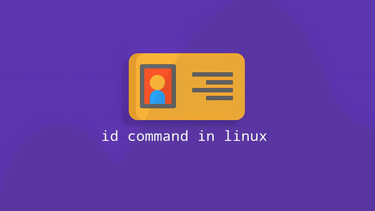 id Command in Linux: Display User and Group Information | Linuxize