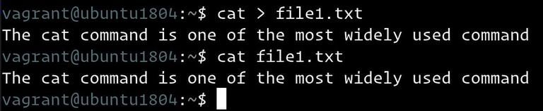 cat create file