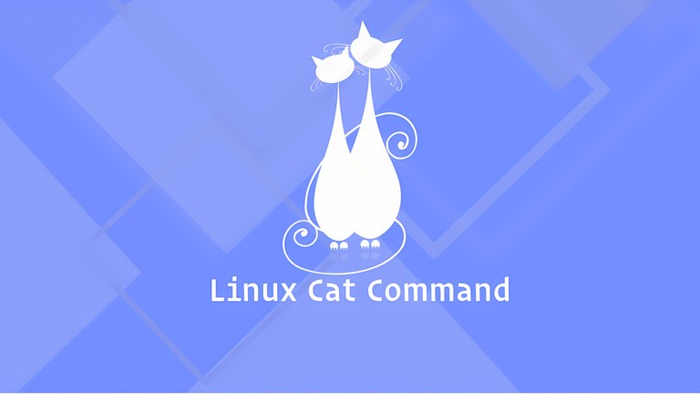 How to Use the cat Command in Linux | Linuxize