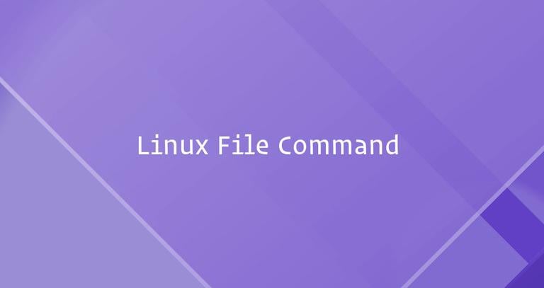 Linux File Command