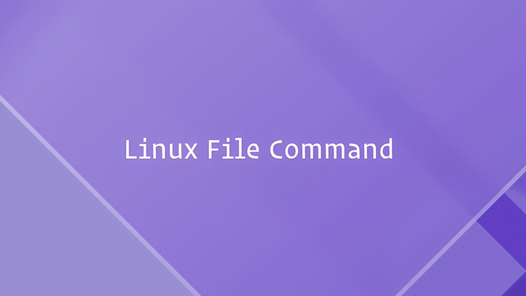 Terminal example showing the Linux file command identifying file types
