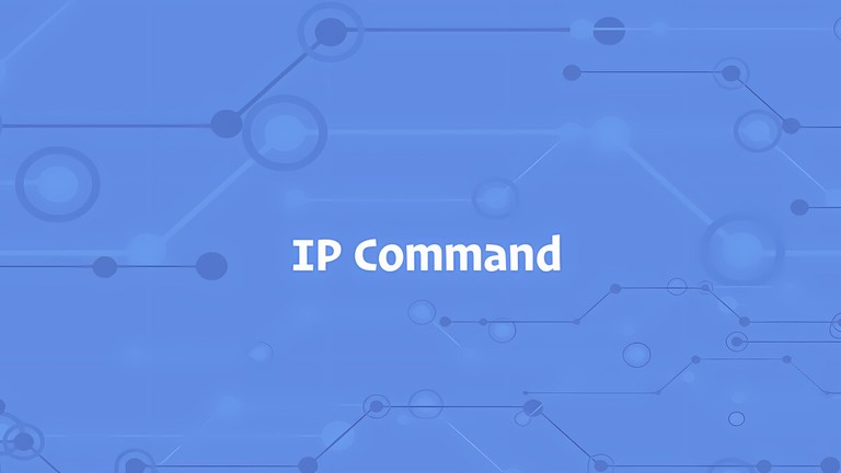 Linux ip Command