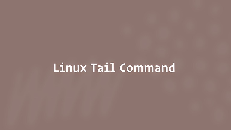 Terminal window showing the tail command following a Linux log file in real time