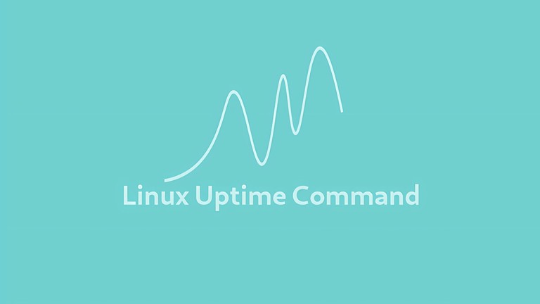 uptime Command