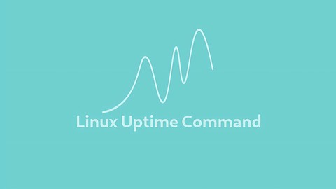 Uptime Command in Linux | Linuxize