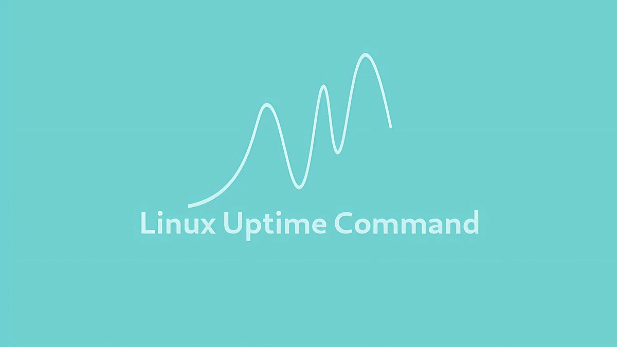 Uptime Command in Linux | Linuxize