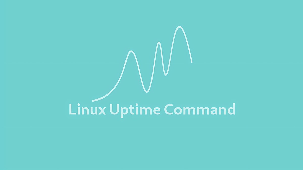 Uptime Command in Linux | Linuxize