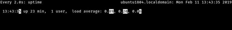 Watch Uptime