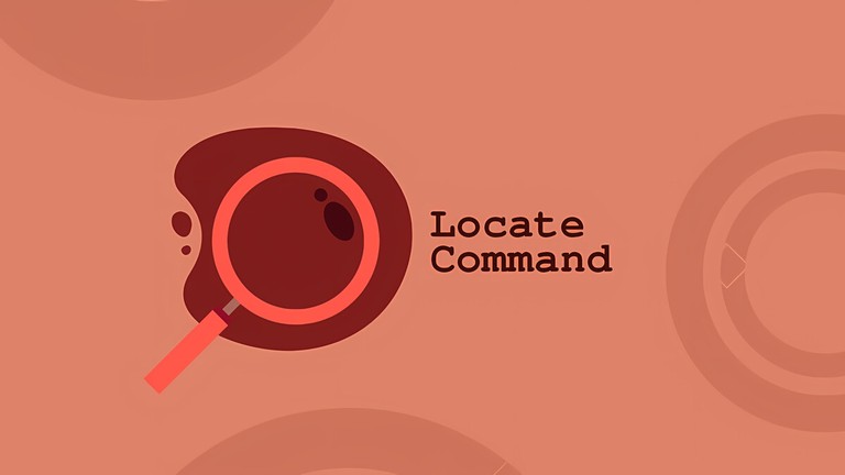Terminal showing locate command search results for files in Linux