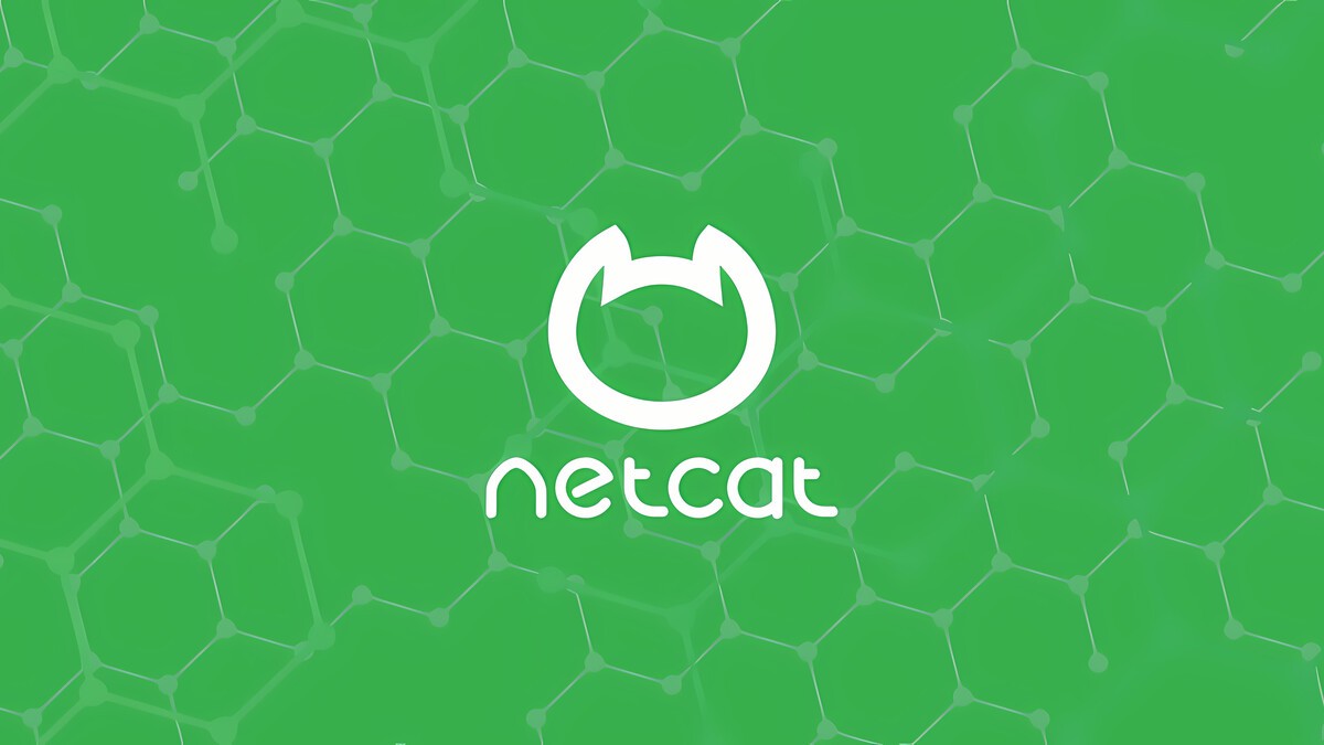Netcat (nc) Command in Linux with Examples | Linuxize