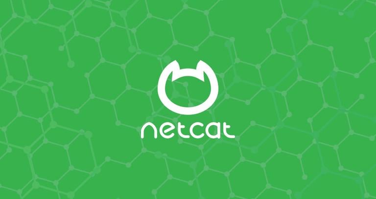 Chat netcat