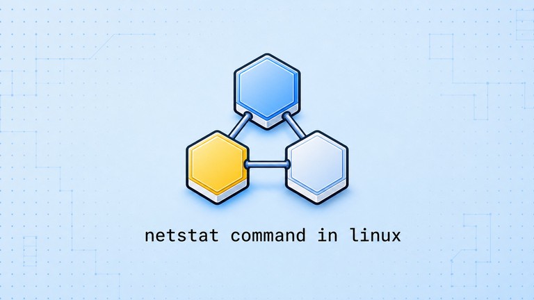 Using the netstat command to show network connections in Linux