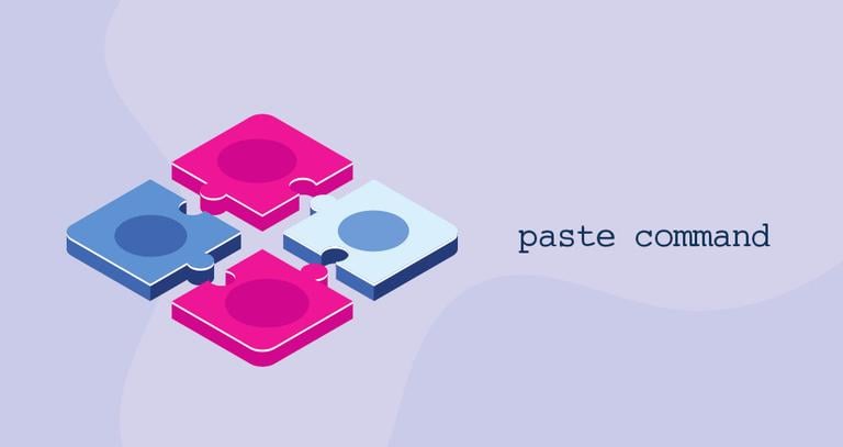 Paste Command