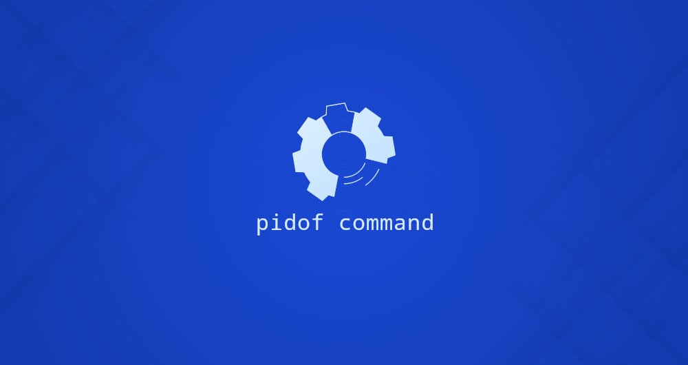 Simple command. Команда pidof.