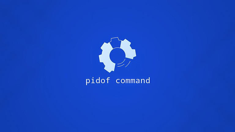 Linux pidof