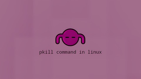 How to Use the pkill Command in Linux | Linuxize