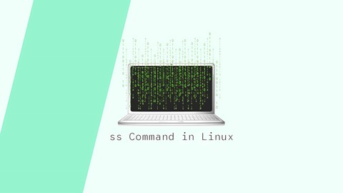 ss Command in Linux: Display Socket Statistics | Linuxize