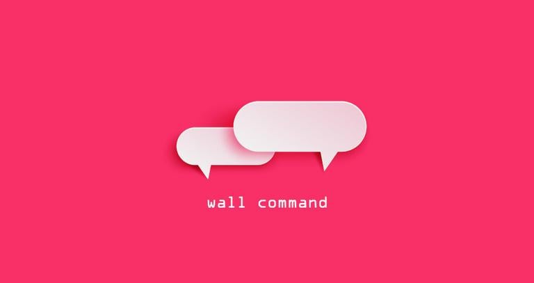 Linux wall command