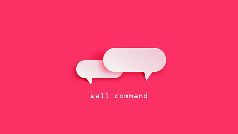 Using the Linux wall command to broadcast a message to all logged-in users