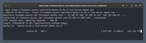 How to Use wget in Linux with Examples | Linuxize