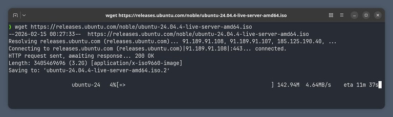 wget download file